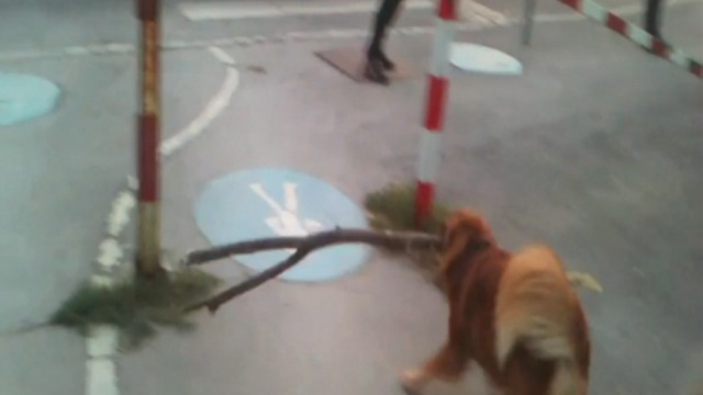 Слишком большая палка смотреть онлайн