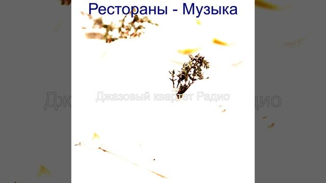 Созерцая (Отели) смотреть онлайн