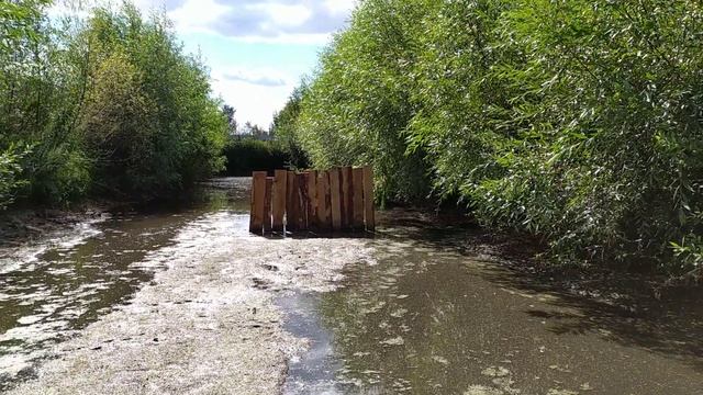 Часть 1. Разведение живого корма для рыб на приусадебном участке. смотреть онлайн