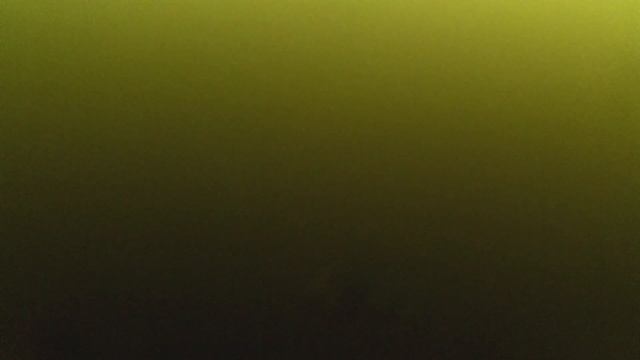 Поиски рыбы. Химкинское водохранилище. смотреть онлайн