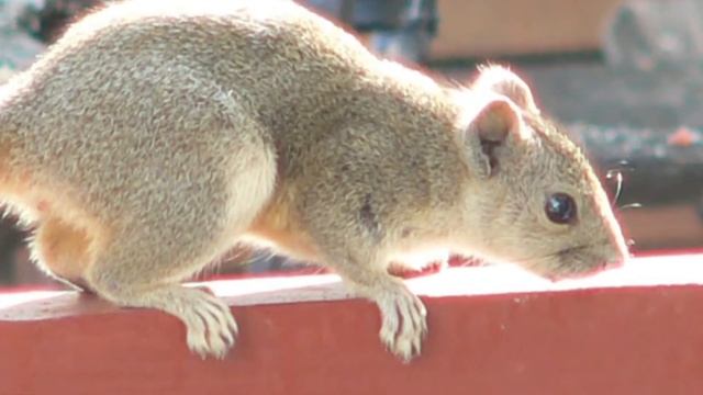 Central Myanmar: Mandalay A Wonderful City | Myanmar Tours