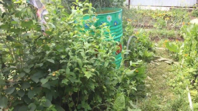 Моё творчество. смотреть онлайн