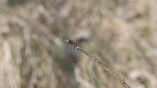 Ваш взгляд безупречен с ресницами