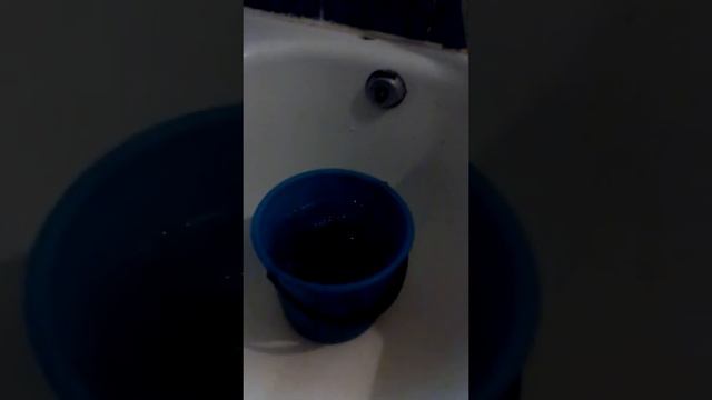 Мой кот сидит ваной смотрит за карасиками:) смотреть онлайн