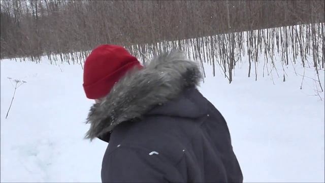 как стать миллионером в деревне - ч.4 Просыпаемся! смотреть онлайн