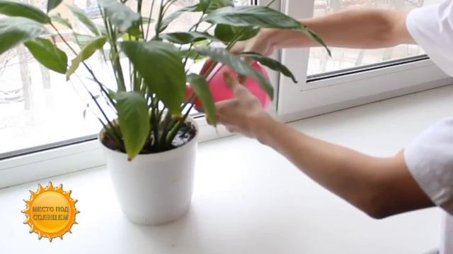 Стройка Дома