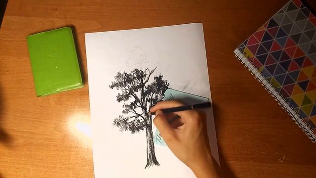 Урок рисования.Рисуем сосну.Уголь. смотреть онлайн