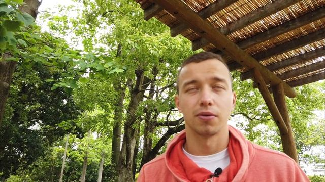 10 плюсов жизни в Японии