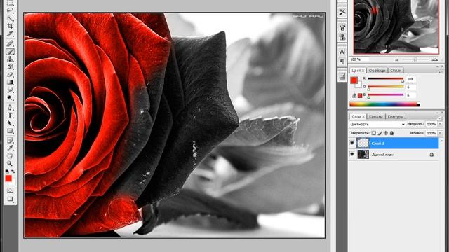 урок фотошопа из чб цветную смотреть онлайн