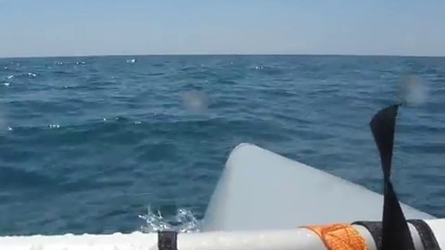 «Тихая» бухта. Катамаран. Полный вперед!