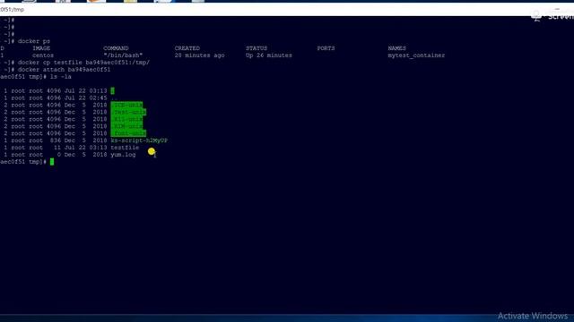 Docker Tutorials | How to Copy a File from Docker Host to Docker Container. смотреть онлайн