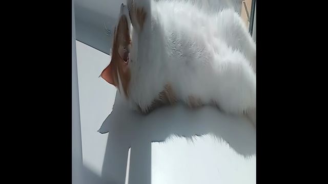 1000006566.mp4 смотреть онлайн