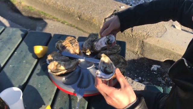 Канкальские устрицы смотреть онлайн