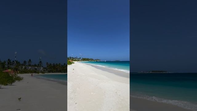 Обзор отеля Oaga Art Resort 5*