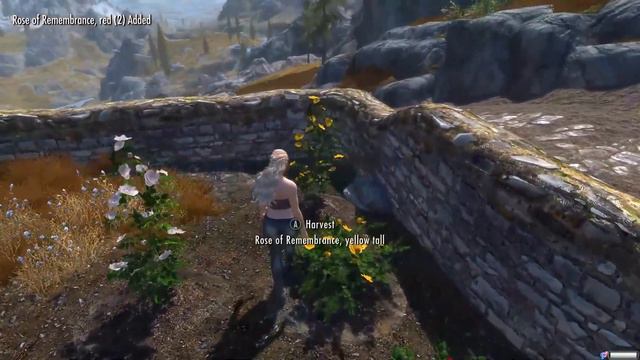 Immersive mods Roses of Remembrance - Blankets of Skyrim and Breathing Skyrim Female смотреть онлайн