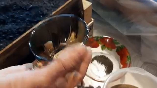 КАК ПОСЕЯТЬ ЛОБЕЛИЮ И САЛЬВИЮ?Как Проветривать Растишки лобелия и цветок сальвия как вырастить.mp4