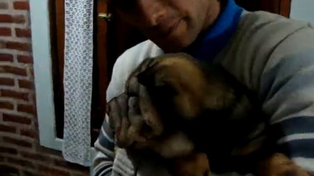Simon смотреть онлайн
