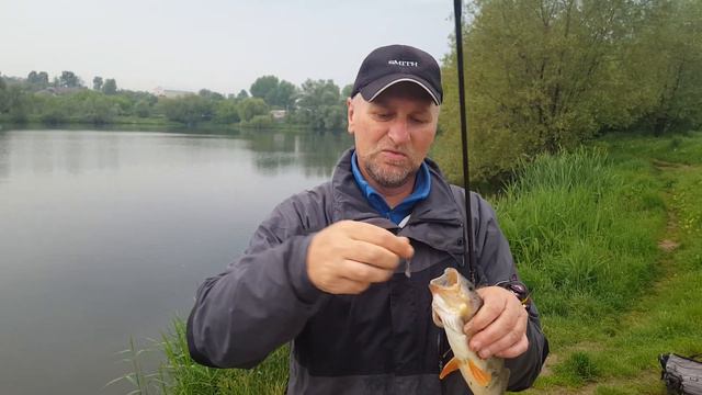 #blackbaits online Breaden Glamour Rock Fish GRF- TE74 FortunateNB смотреть онлайн