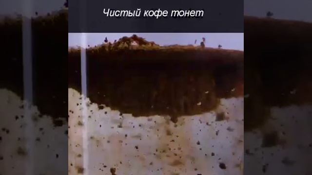 советы смотреть онлайн