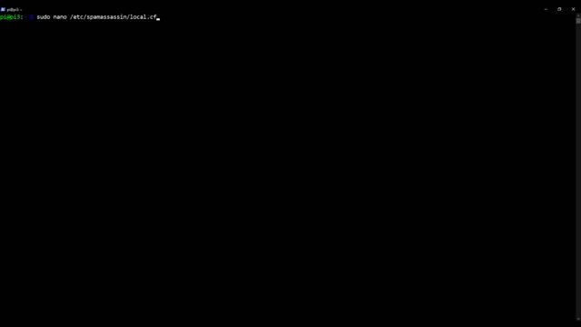 11. Installing Spam Assassin on your Raspberry Pi | Hosting an email server for free смотреть онлайн