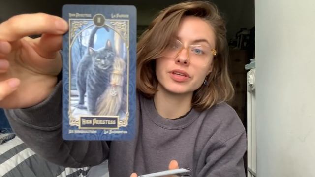 Meet My Tarot Decks! Talking About Relationships with Tarot, Call Out Ratings, and More! смотреть онлайн