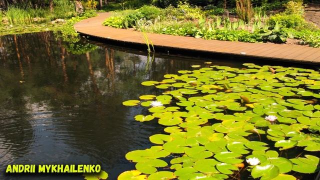 Изготовление декоративного водоема, пруда (Making a decorative pond) смотреть онлайн
