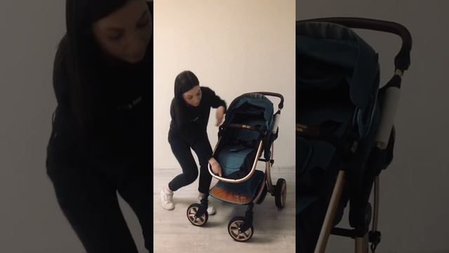 Коляска трансформер SWEET KIDS 608 (Aimily, Wingoffly) смотреть онлайн