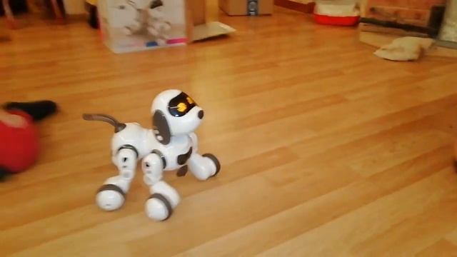 Smart Robot Dog Decatur /Собака-робот / Распаковка посылки ОЗОН / Городские Поселковые ? серия 57 смотреть онлайн