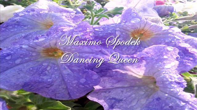 MAXIMO SPODEK, DANCING QUEEN / LA REINA DEL BAILE, ABBA, INSTRUMENTAL PIANO SONGS смотреть онлайн