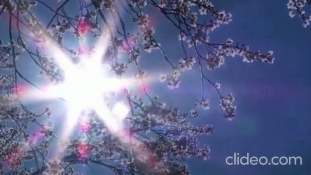 Душу свою берегите смотреть онлайн