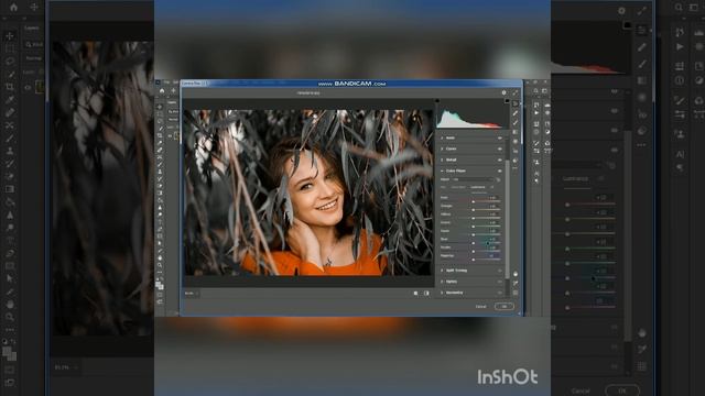 Black Tone Preset - Photoshop Tutorial | Black Moody Color Grading in Photoshop смотреть онлайн