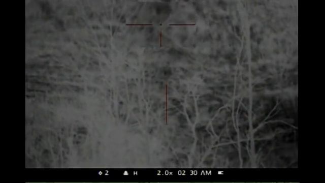 AP2020 Outdoors 35 Coyotes Down with Night Vision and Thermal смотреть онлайн