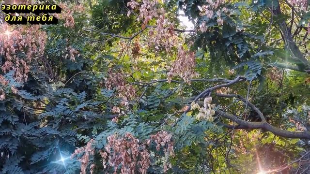 18 октября народный праздник день Харитины, первые холстины, Прялая. Что нельзя делать. Приметы смотреть онлайн