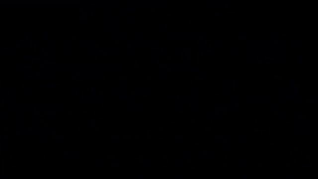 #Сосна1 #Хвойные растения15 Декоративные растения смотреть онлайн