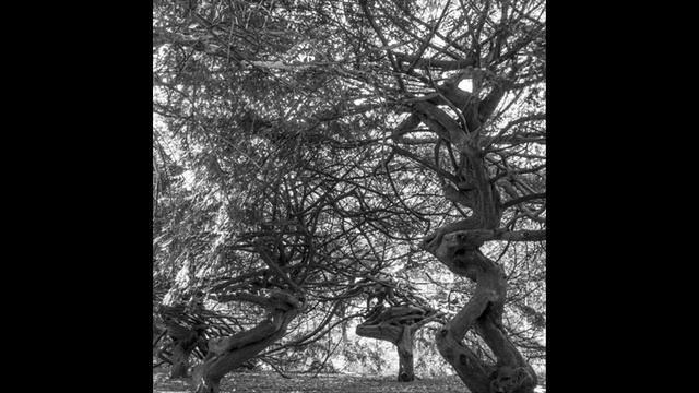 Klartraum - Sweetness (Nick Robson Clematis Elizabeth Dub - E1 Remix Contest)