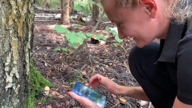 велопоход на Торфянку, первые грибы в августе смотреть онлайн