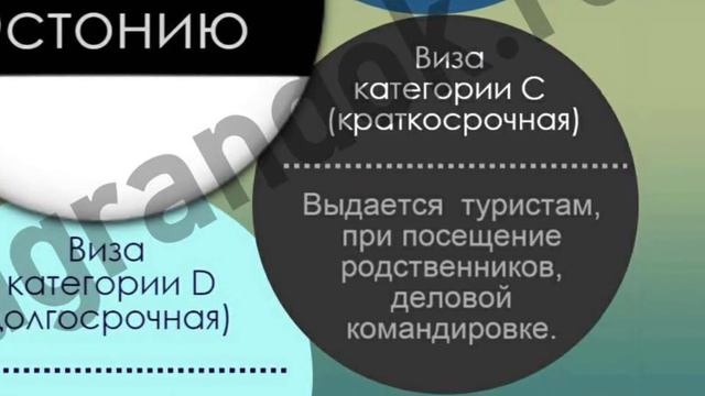 Виза в Эстонию смотреть онлайн