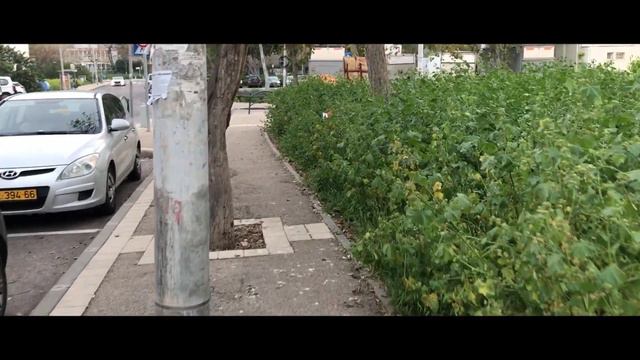 РЕПАТРИАЦИЯ В ИЗРАИЛЬ|| Переезд в Израиле. Бат Ям - Хайфа смотреть онлайн
