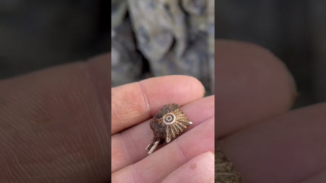 Мелочь, а приятно ! смотреть онлайн