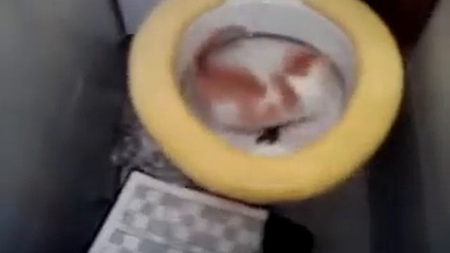 Чудо в унитазе, 2 месяца смотреть онлайн