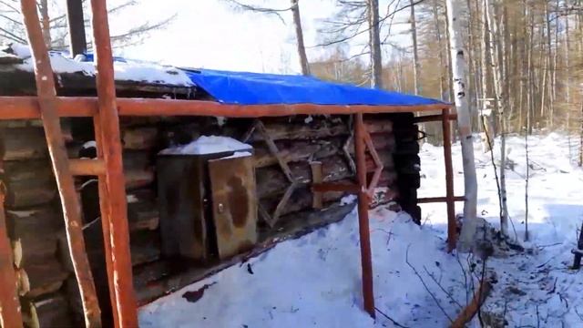 Пушнина дешёвая, занимаемся обустройством участка. смотреть онлайн