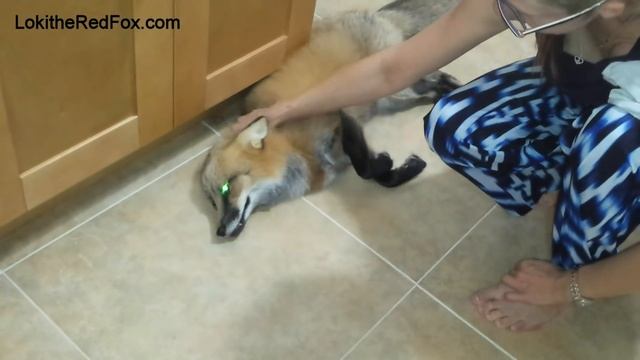 loki when we get home смотреть онлайн