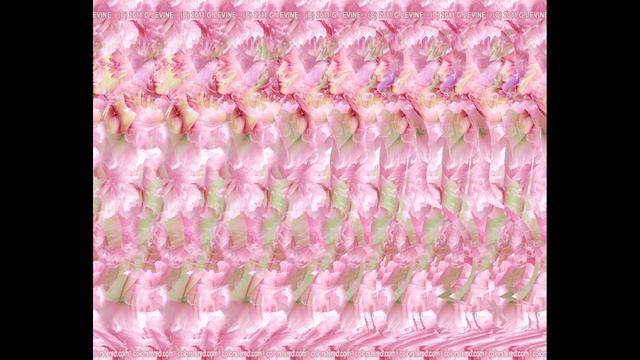 AMAZING STEREOGRAM WITH ANSWER || Fun Stereogram-PART 36 #stereogram #magic #magiceye