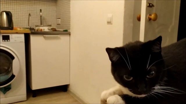 Как установить Windows 10 Руководство для чайников Нужна флешка и интернет ! смотреть онлайн