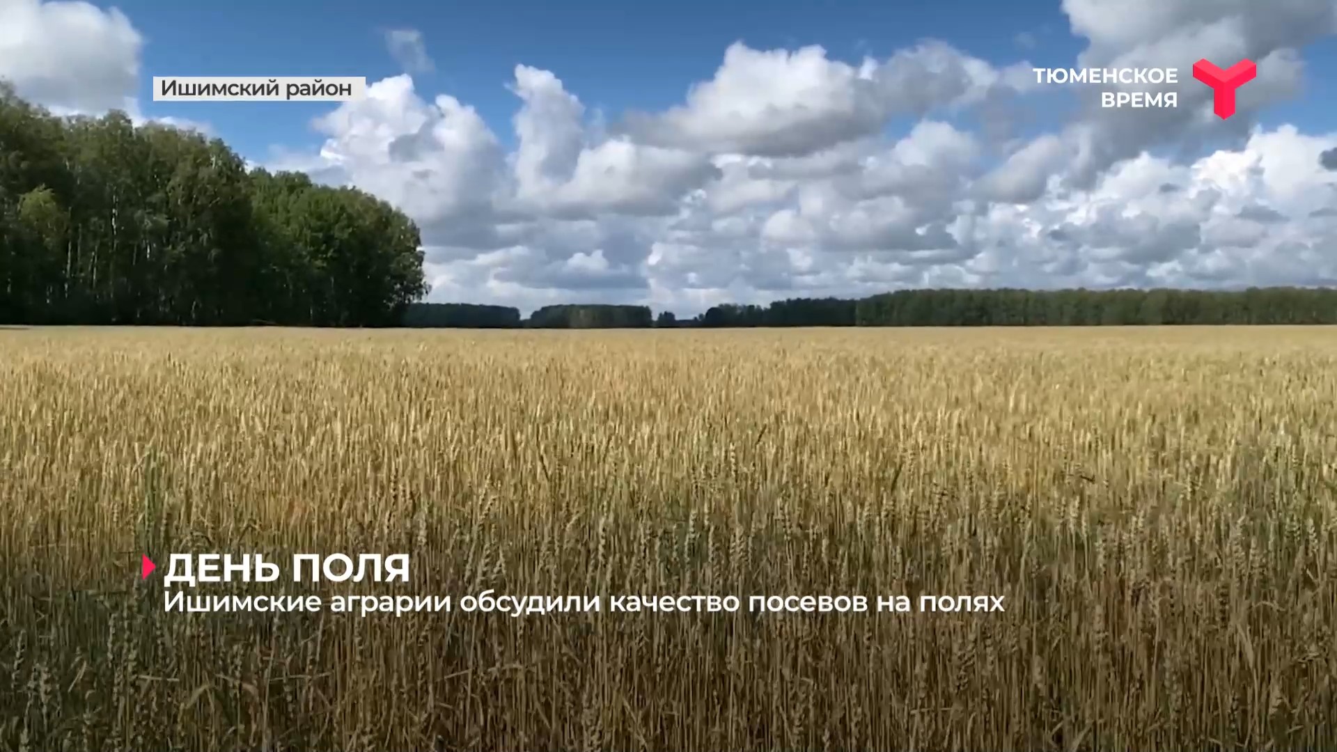 Ишимские аграрии обсудили качество посевов на полях