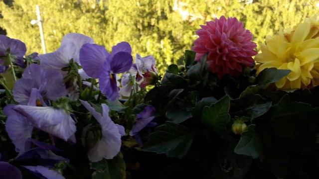 14 липня 2020 р. смотреть онлайн