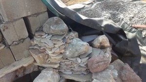 Ландшафтный дизайн.Делаем пруд с водопадом. (Часть1)