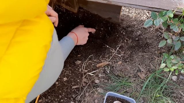 ? Размножение Сухопутных Черепах ? Черепаха кладка яиц смотреть онлайн