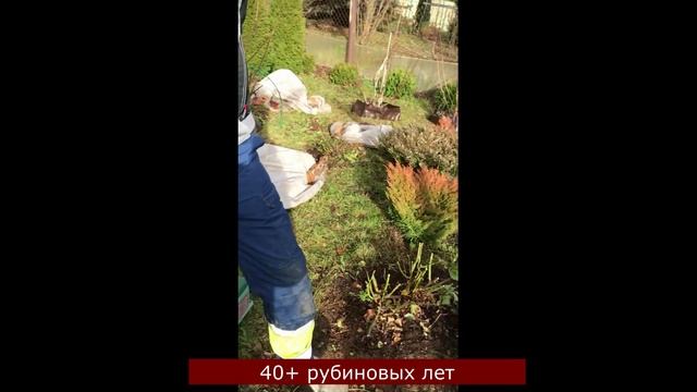 Разборка, промывка корпуса и шлангов  Часть 2