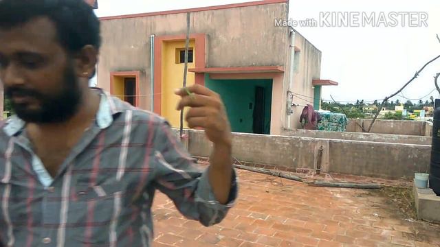 How to tie a bird's kite string | How to Tie Kite Knots Tamil |birds Kite Flying Tips | смотреть онлайн